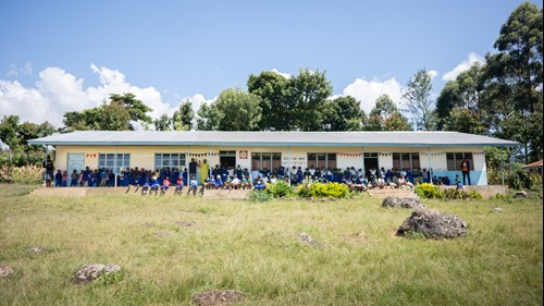 Ngaroni School main